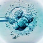 Woman gives birth to another couple’s child after IVF mix-up