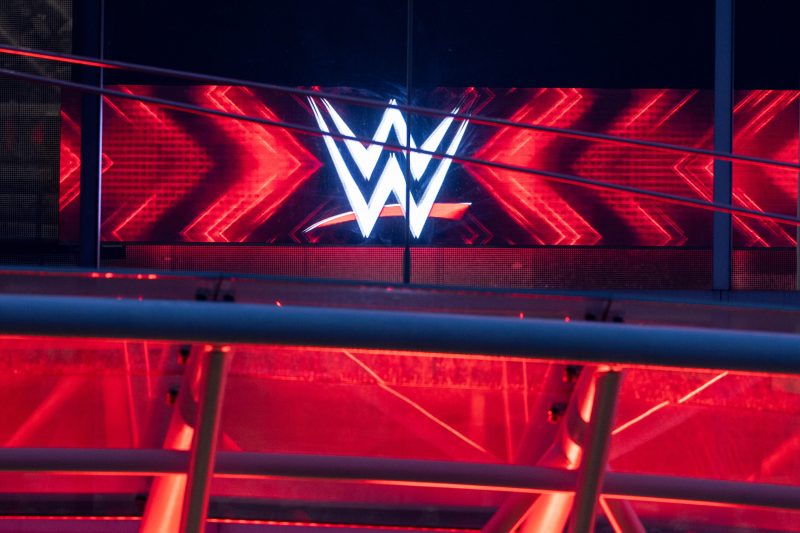 Exclusive: Children of former world champs headline next WWE NIL class