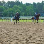 ICE raid sends shockwaves across racing, ‘puts horses at risk’